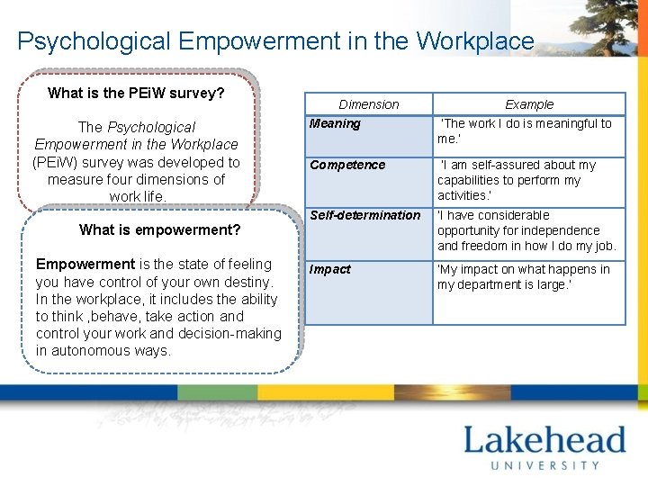 Psychological Empowerment in the Workplace What is the PEi. W survey? The Psychological Empowerment