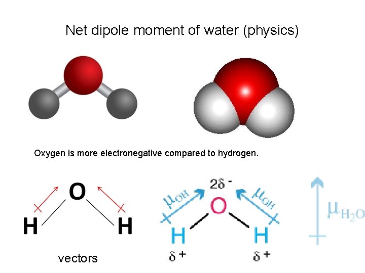 Net dipole moment of water (physics) Oxygen is more electronegative compared to hydrogen. vectors