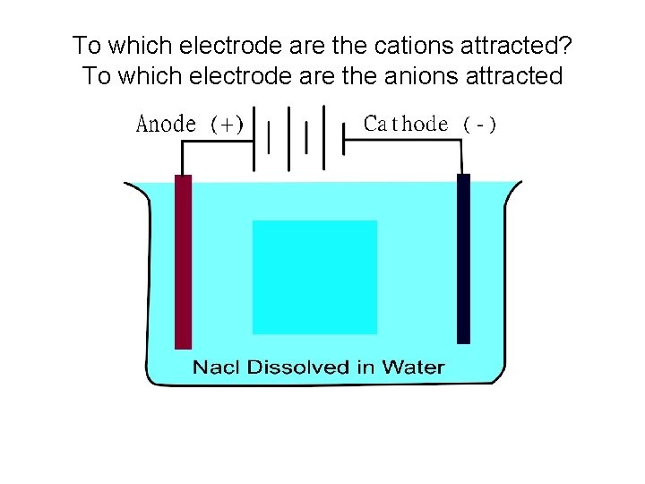 To which electrode are the cations attracted? To which electrode are the anions attracted