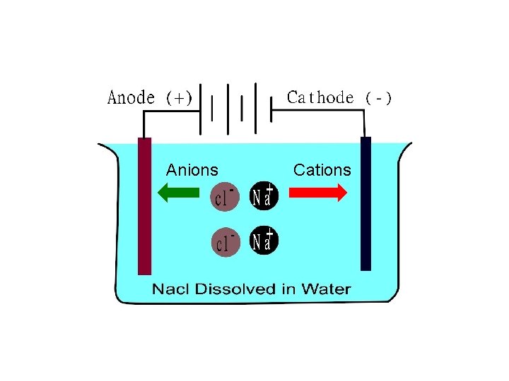 Anions Cations 