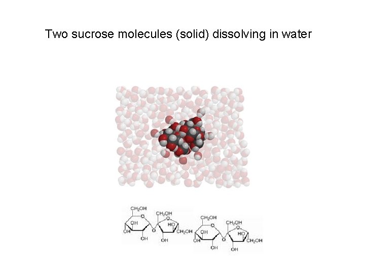 Two sucrose molecules (solid) dissolving in water 