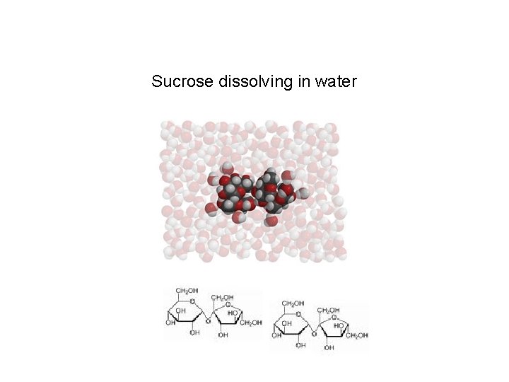 Sucrose dissolving in water 