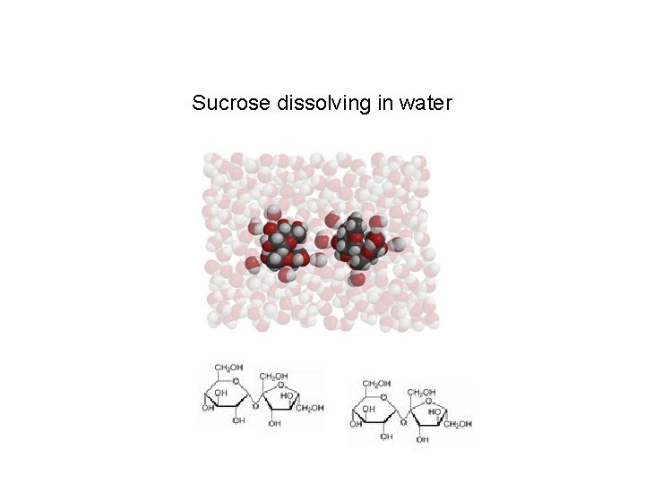 Sucrose dissolving in water 