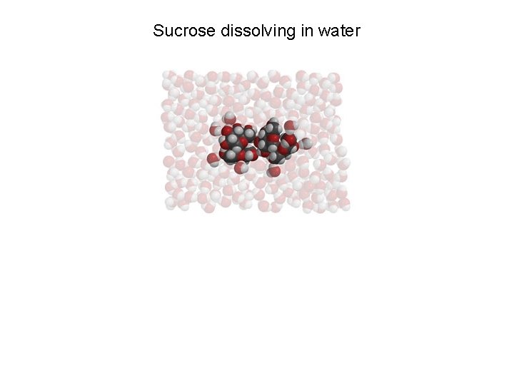 Sucrose dissolving in water 