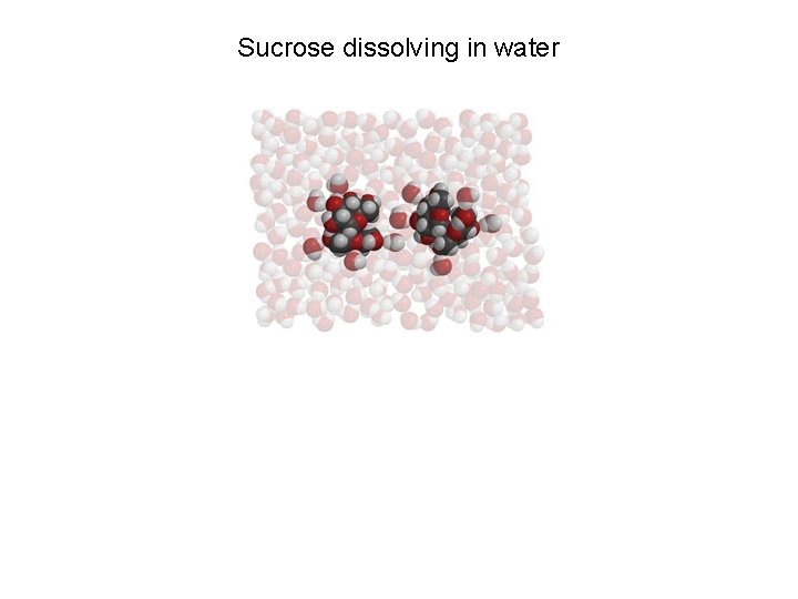 Sucrose dissolving in water 