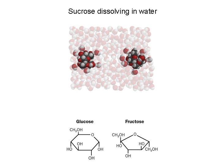 Sucrose dissolving in water 