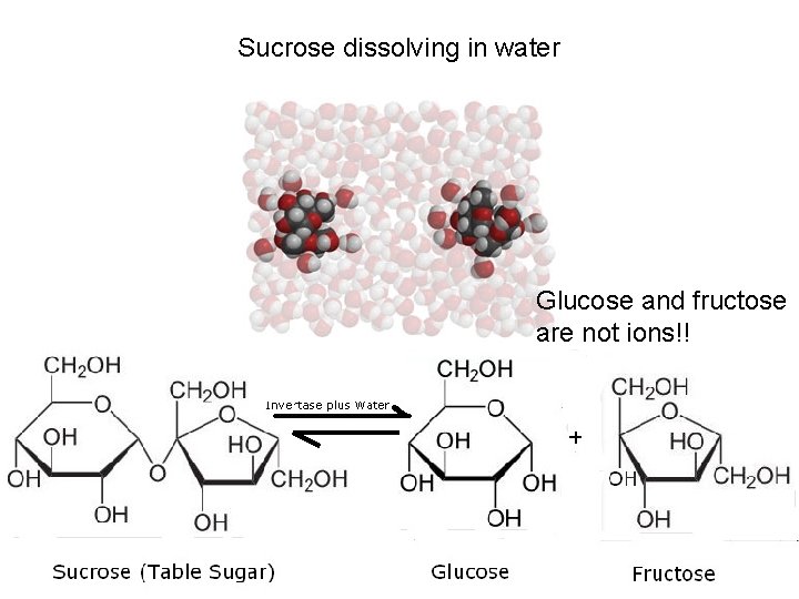 Sucrose dissolving in water Glucose and fructose are not ions!! 