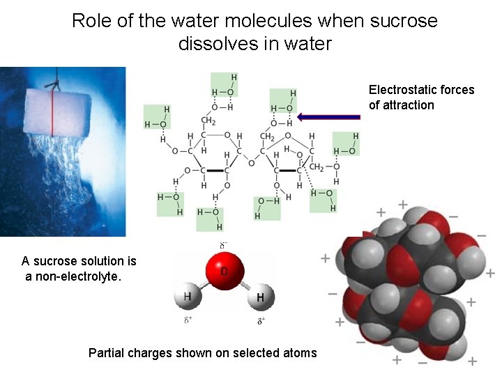 Role of the water molecules when sucrose dissolves in water Electrostatic forces of attraction