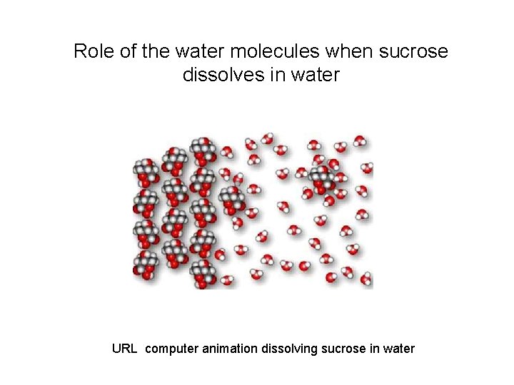 Role of the water molecules when sucrose dissolves in water URL computer animation dissolving