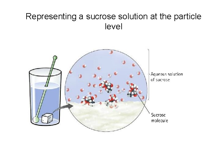 Representing a sucrose solution at the particle level 