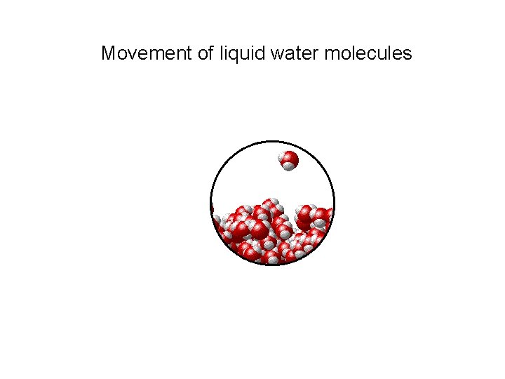 Movement of liquid water molecules 