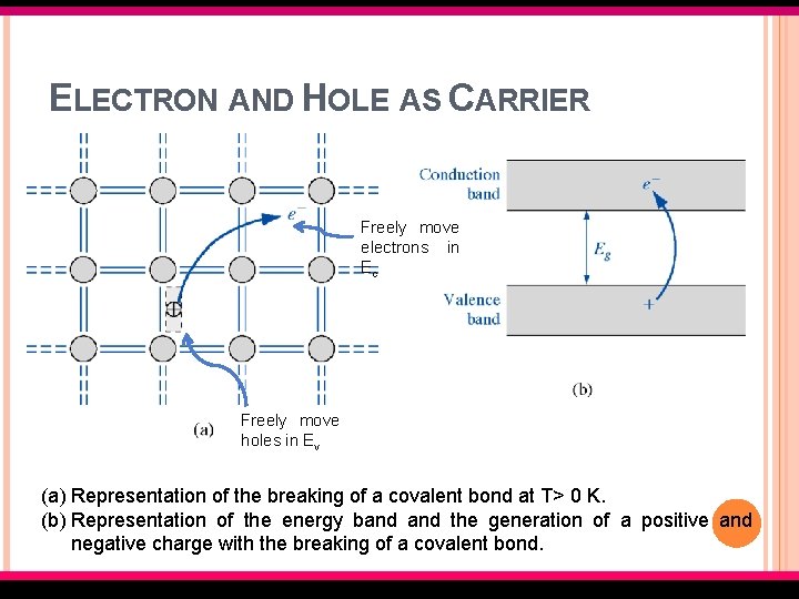 ELECTRON AND HOLE AS CARRIER Freely move electrons in Ec Freely move holes in