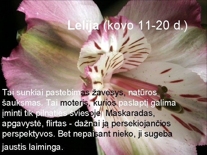 Lelija (kovo 11 -20 d. ) Tai sunkiai pastebimas žavesys, natūros šauksmas. Tai moteris, Lelija (kovo 11 -20 d. ) Tai sunkiai pastebimas žavesys, natūros šauksmas. Tai moteris,