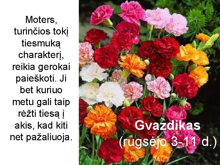 Moters, turinčios tokį tiesmuką charakterį, reikia gerokai paieškoti. Ji bet kuriuo metu gali taip