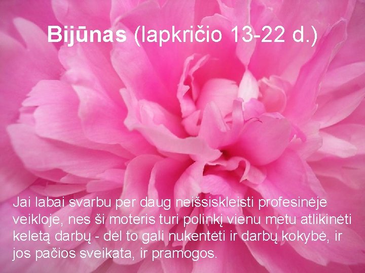 Bijūnas (lapkričio 13 -22 d. ) Jai labai svarbu per daug neišsiskleisti profesinėje veikloje,