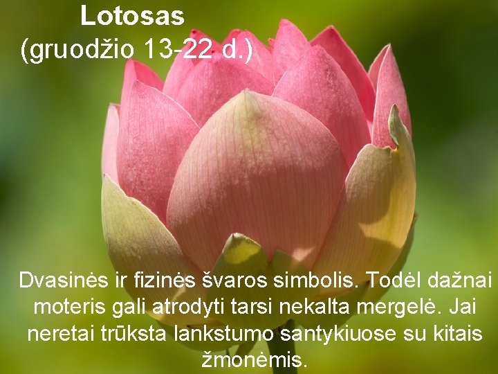 Lotosas (gruodžio 13 -22 d. ) Dvasinės ir fizinės švaros simbolis. Todėl dažnai moteris