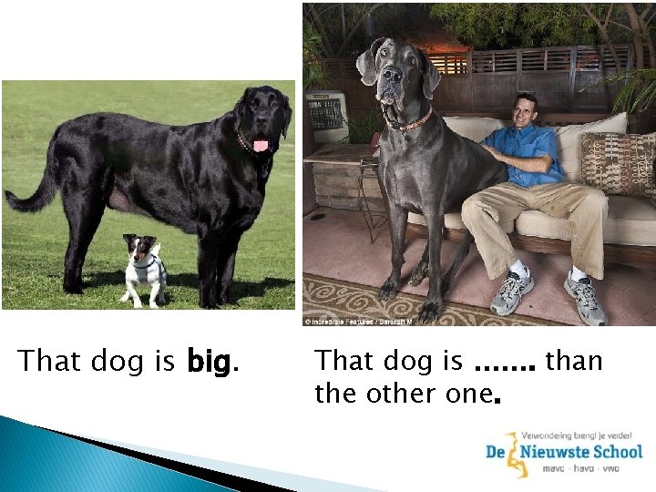 That dog is big. That dog is ……. than the other one. 