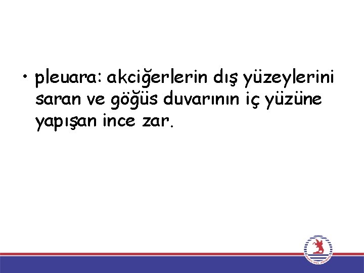  • pleuara: akciğerlerin dış yüzeylerini saran ve göğüs duvarının iç yüzüne yapışan ince