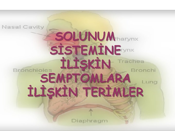 SOLUNUM SİSTEMİNE İLİŞKİN SEMPTOMLARA İLİŞKİN TERİMLER 