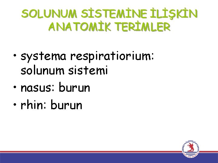 SOLUNUM SİSTEMİNE İLİŞKİN ANATOMİK TERİMLER • systema respiratiorium: solunum sistemi • nasus: burun •