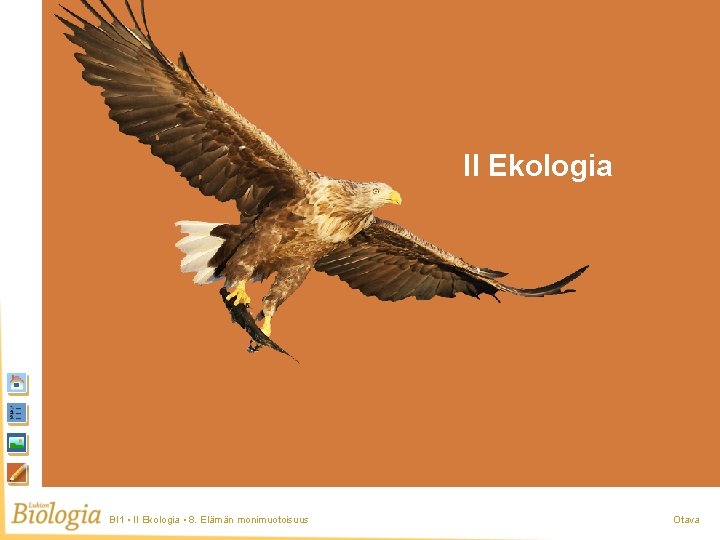 II Ekologia BI 1 • II Ekologia • 8. Elämän monimuotoisuus Otava 