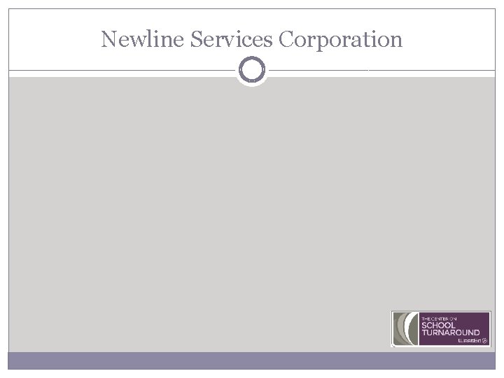 Newline Services Corporation 