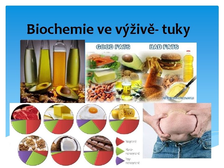 Biochemie ve výživě- tuky 