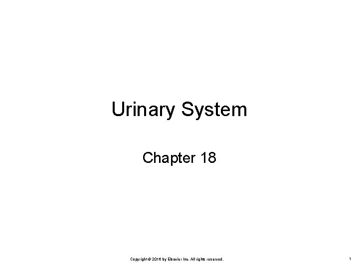 Urinary System Chapter 18 Copyright © 2016 by Elsevier Inc. All rights reserved. 1