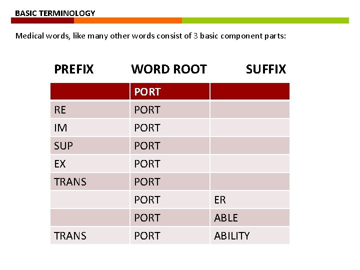 BASIC TERMINOLOGY Medical words, like many other words consist of 3 basic component parts: