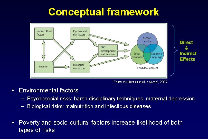 Conceptual framework Direct & Indirect Effects From Walker and al. Lancet, 2007 • Environmental