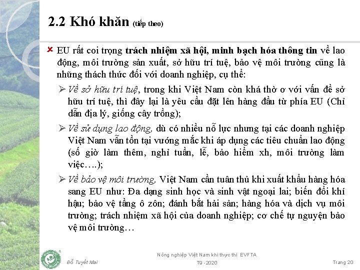 2. 2 Khó khăn (tiếp theo) û EU rất coi trọng trách nhiệm xã