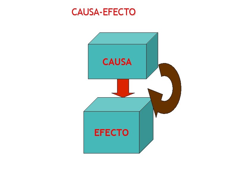 CAUSA-EFECTO CAUSA EFECTO 