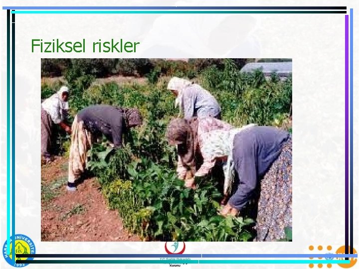 Fiziksel riskler 