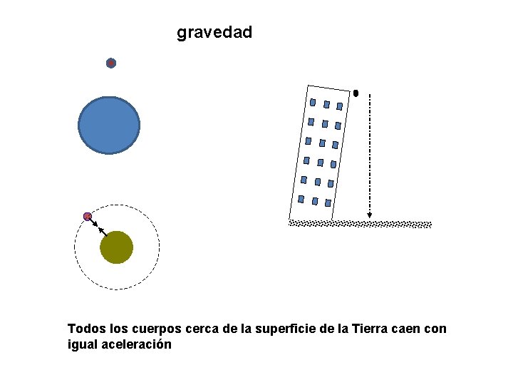 gravedad Todos los cuerpos cerca de la superficie de la Tierra caen con igual