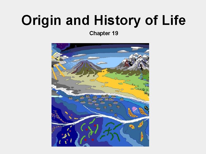 Origin and History of Life Chapter 19 