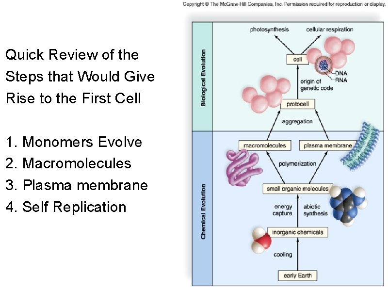 Quick Review of the Steps that Would Give Rise to the First Cell 1.
