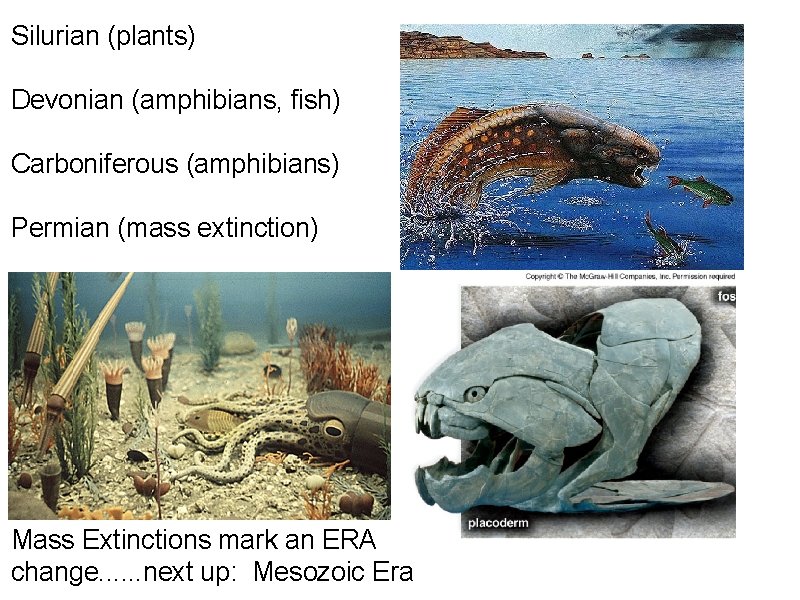 Silurian (plants) Devonian (amphibians, fish) Carboniferous (amphibians) Permian (mass extinction) Mass Extinctions mark an