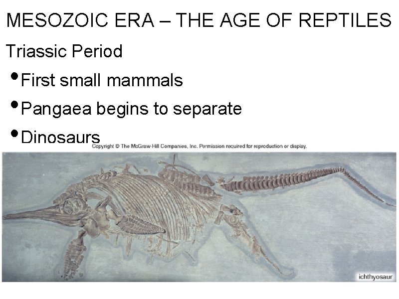 MESOZOIC ERA – THE AGE OF REPTILES Triassic Period • First small mammals •