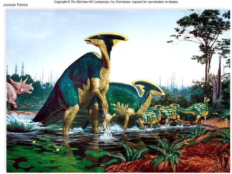 Jurassic Period 