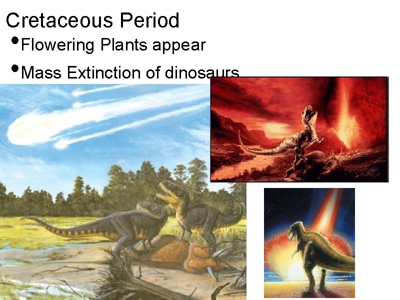 Cretaceous Period • Flowering Plants appear • Mass Extinction of dinosaurs 