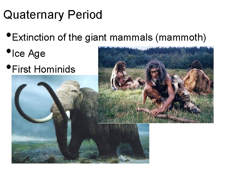 Quaternary Period • Extinction of the giant mammals (mammoth) • Ice Age • First