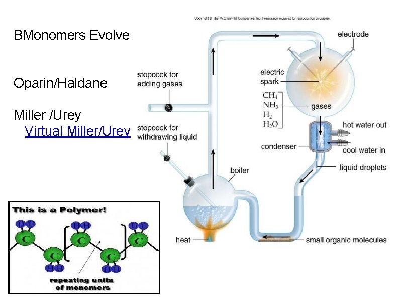 BMonomers Evolve Oparin/Haldane Miller /Urey Virtual Miller/Urey 