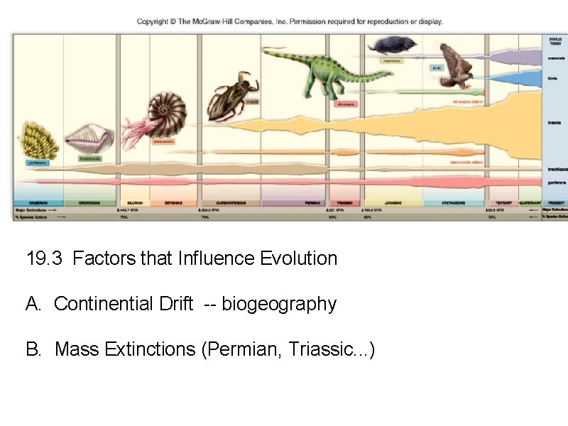 19. 3 Factors that Influence Evolution A. Continential Drift -- biogeography B. Mass Extinctions