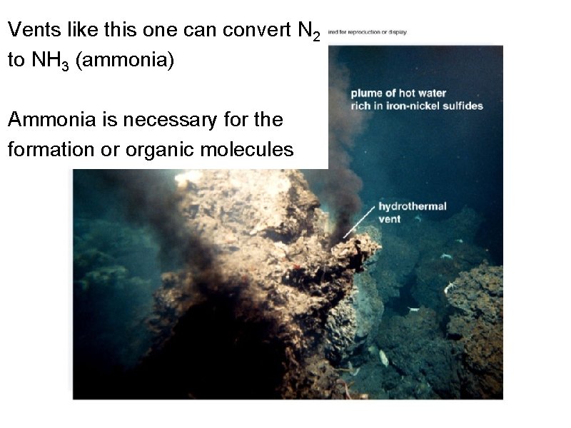 Vents like this one can convert N 2 to NH 3 (ammonia) Ammonia is