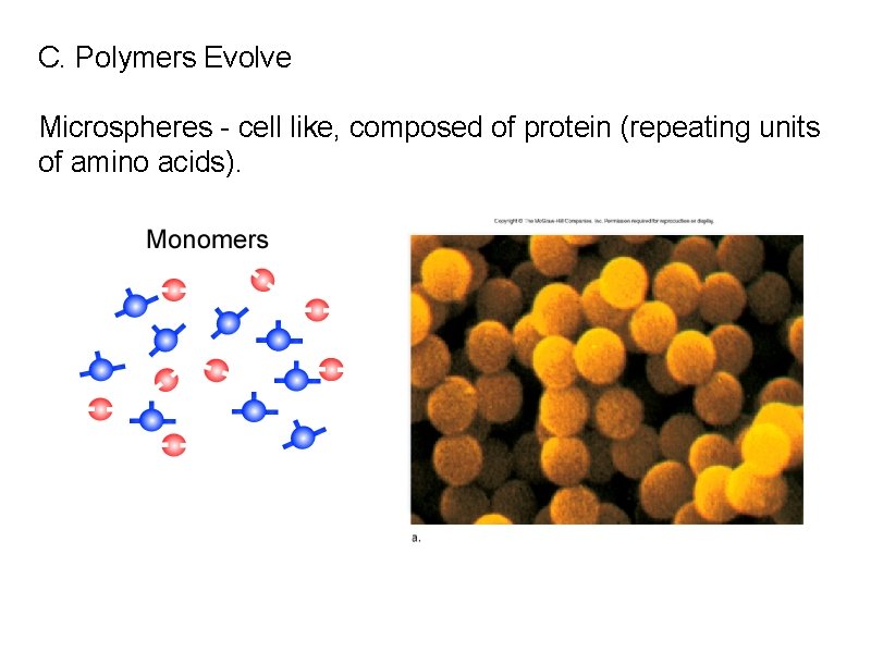 C. Polymers Evolve Microspheres - cell like, composed of protein (repeating units of amino