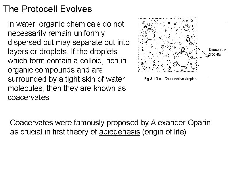 The Protocell Evolves In water, organic chemicals do not necessarily remain uniformly dispersed but