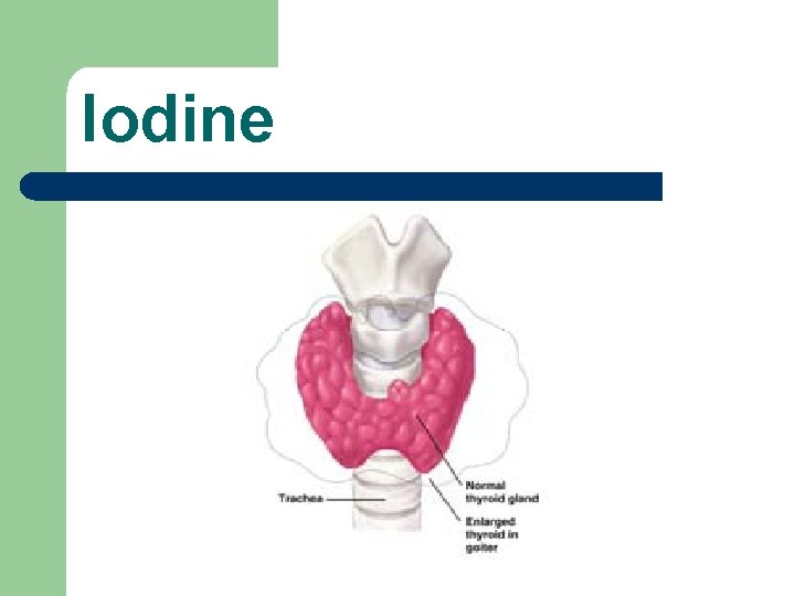 Iodine 