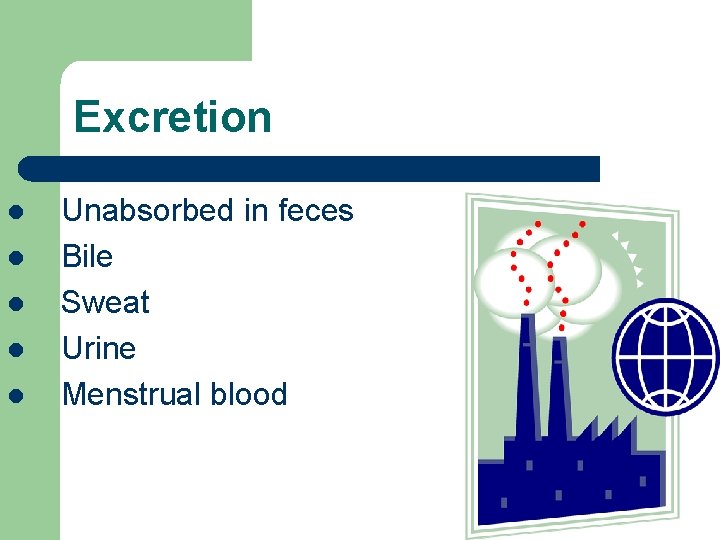 Excretion l l l Unabsorbed in feces Bile Sweat Urine Menstrual blood 