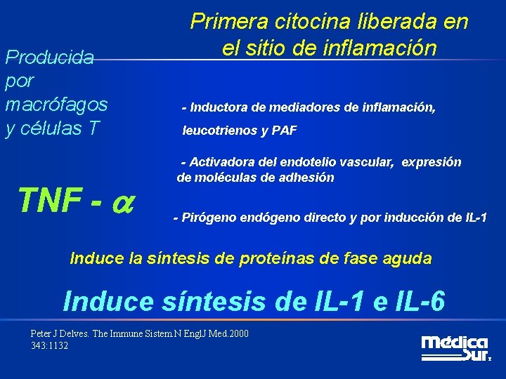 Producida por macrófagos y células T TNF - Primera citocina liberada en el sitio