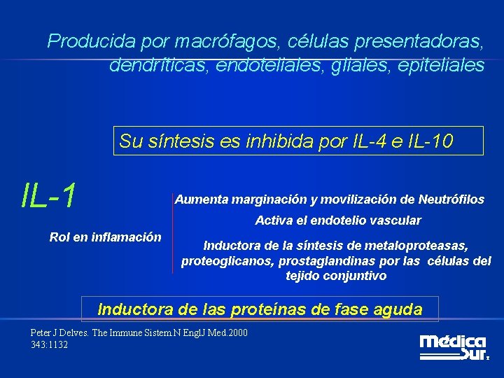 Producida por macrófagos, células presentadoras, dendríticas, endoteliales, gliales, epiteliales Su síntesis es inhibida por